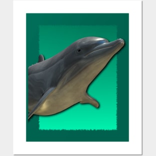 Tropical Dolphin Posters and Art